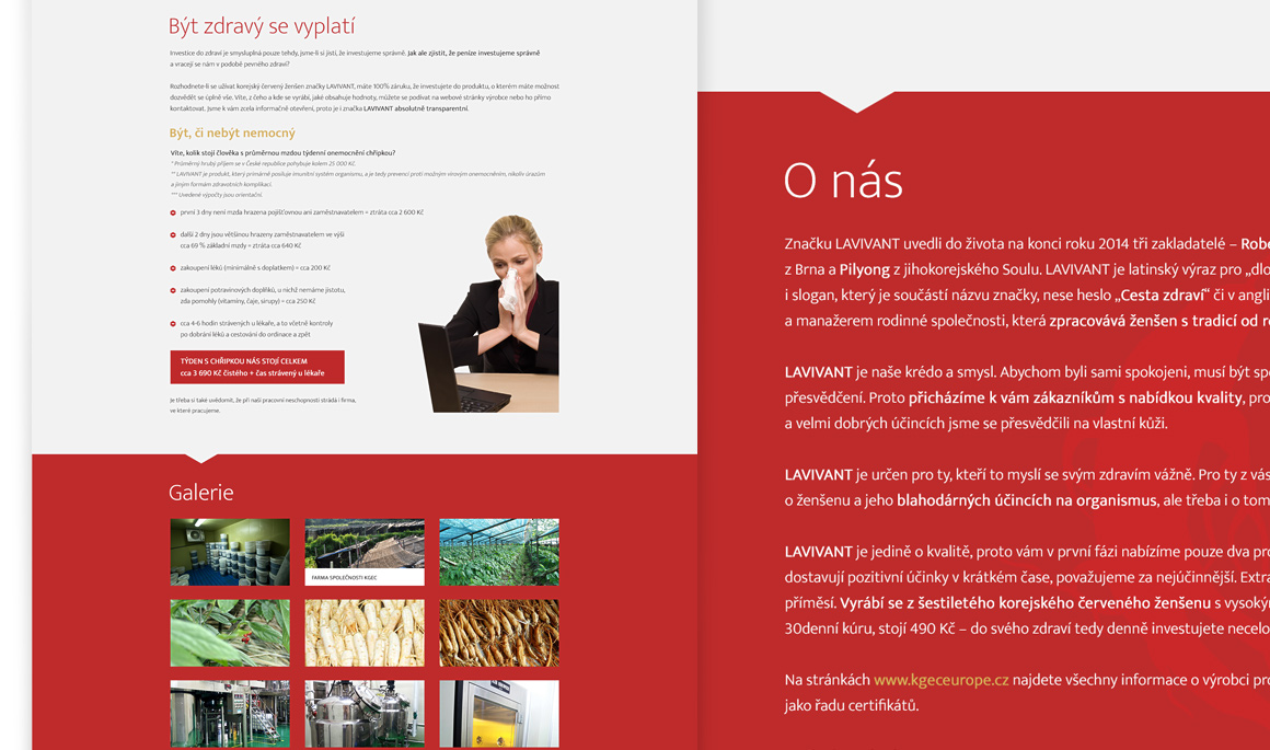 Lavivant - Responsive website